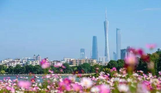 广州加快推进湾区建设“施工图”!